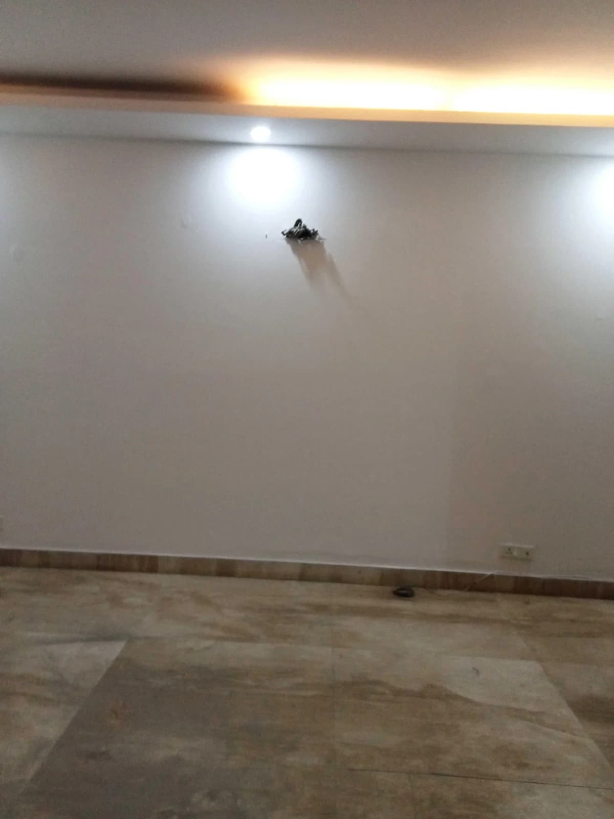350 Square Yard Flats for Rent in Sector 15, Hisar