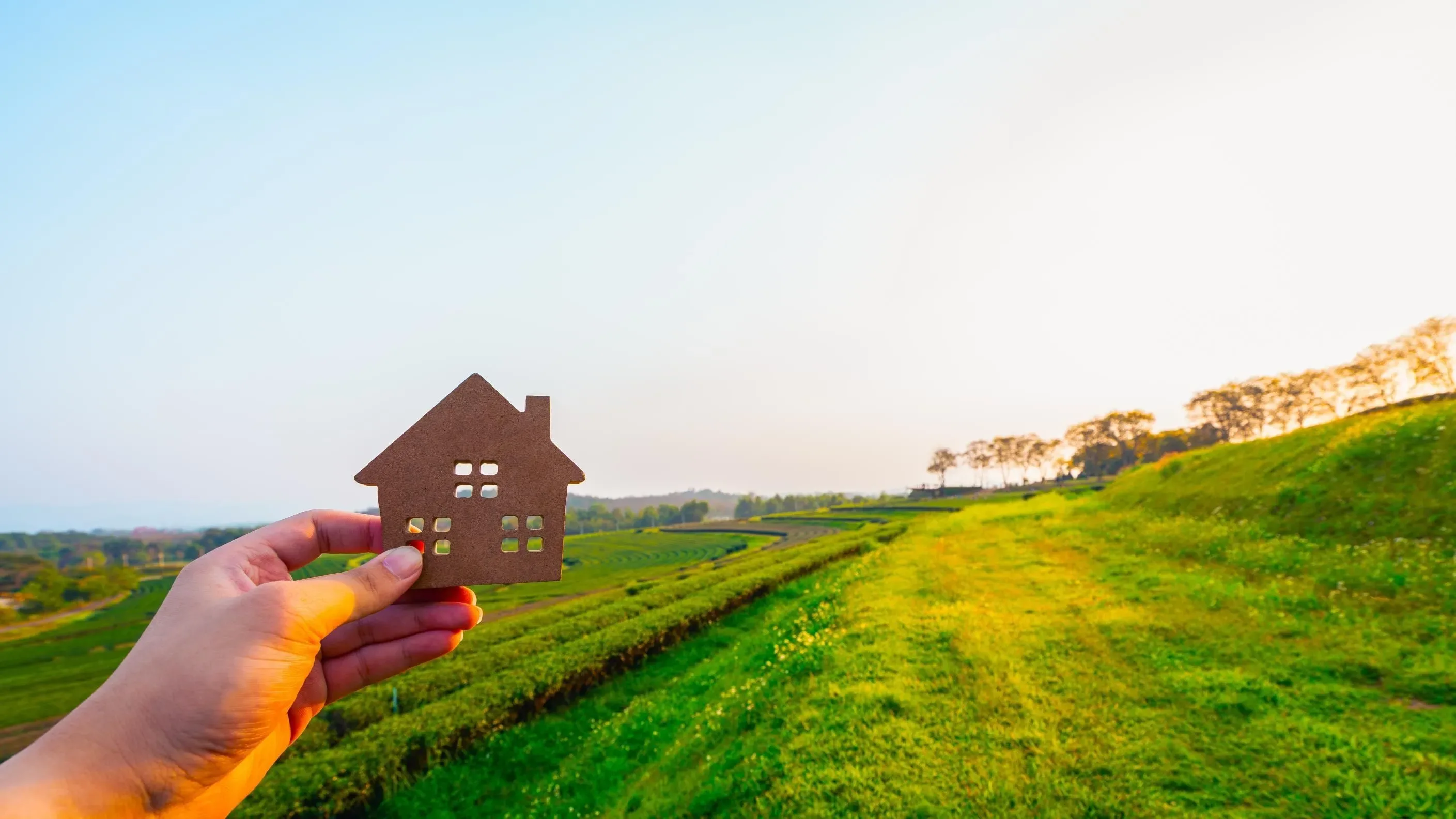 Step-by-Step Guide to Finding To-Let Properties in Hisar